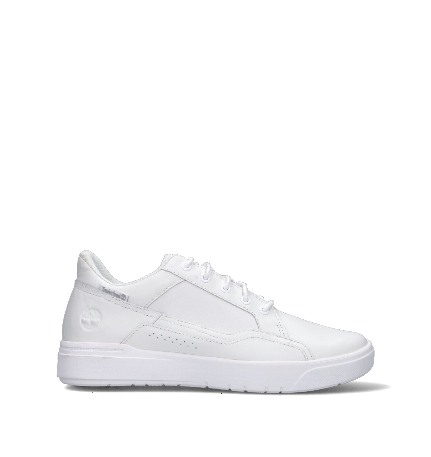 TIMBERLAND Sneaker uomo bianca