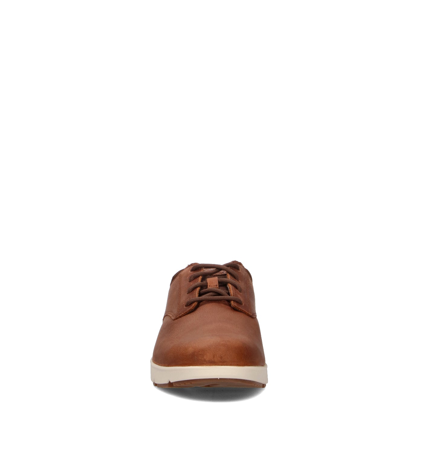 TIMBERLAND Sneaker uomo marrone in pelle