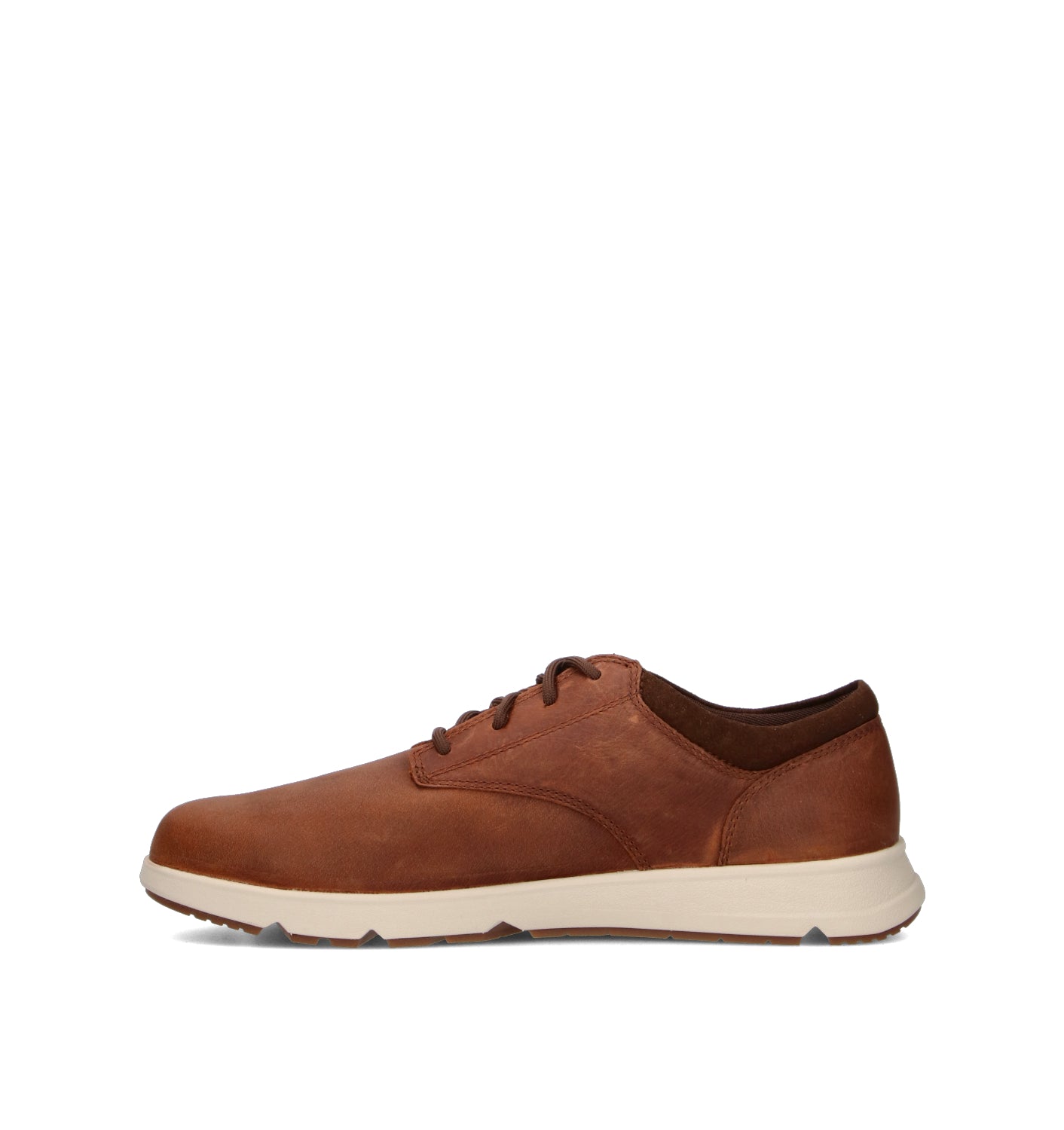 TIMBERLAND Sneaker uomo marrone in pelle