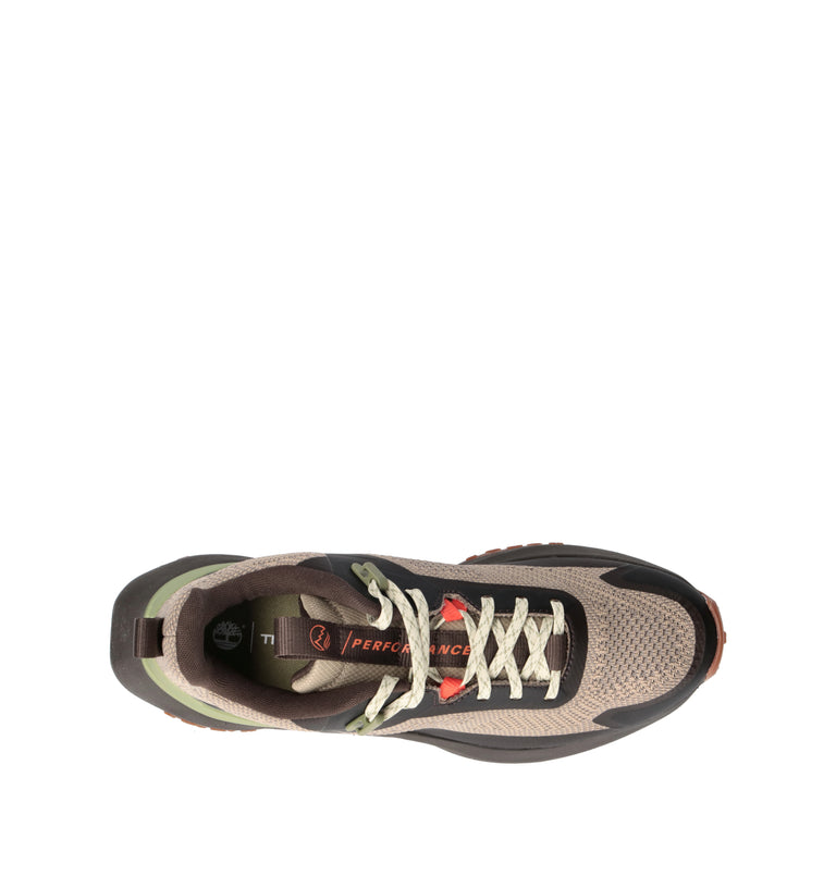 TIMBERLAND Sneaker uomo beige/marrone
