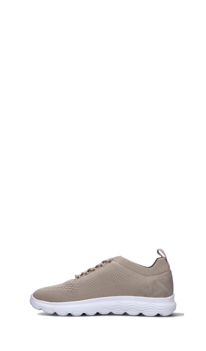 GEOX Sneaker uomo beige