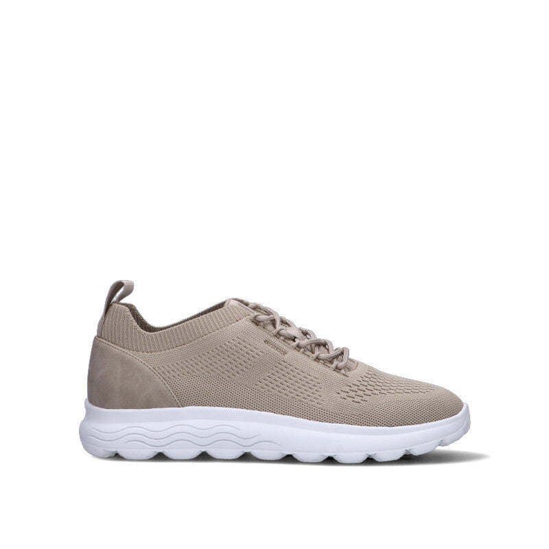 GEOX Sneaker uomo beige