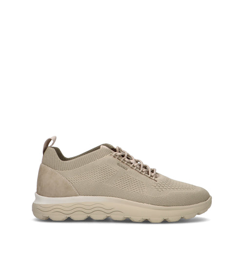 GEOX Sneaker uomo beige