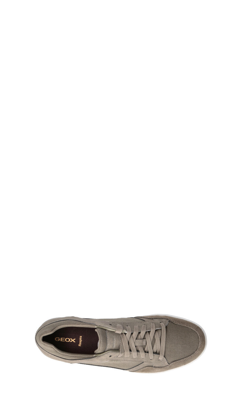 GEOX Sneaker uomo grigia