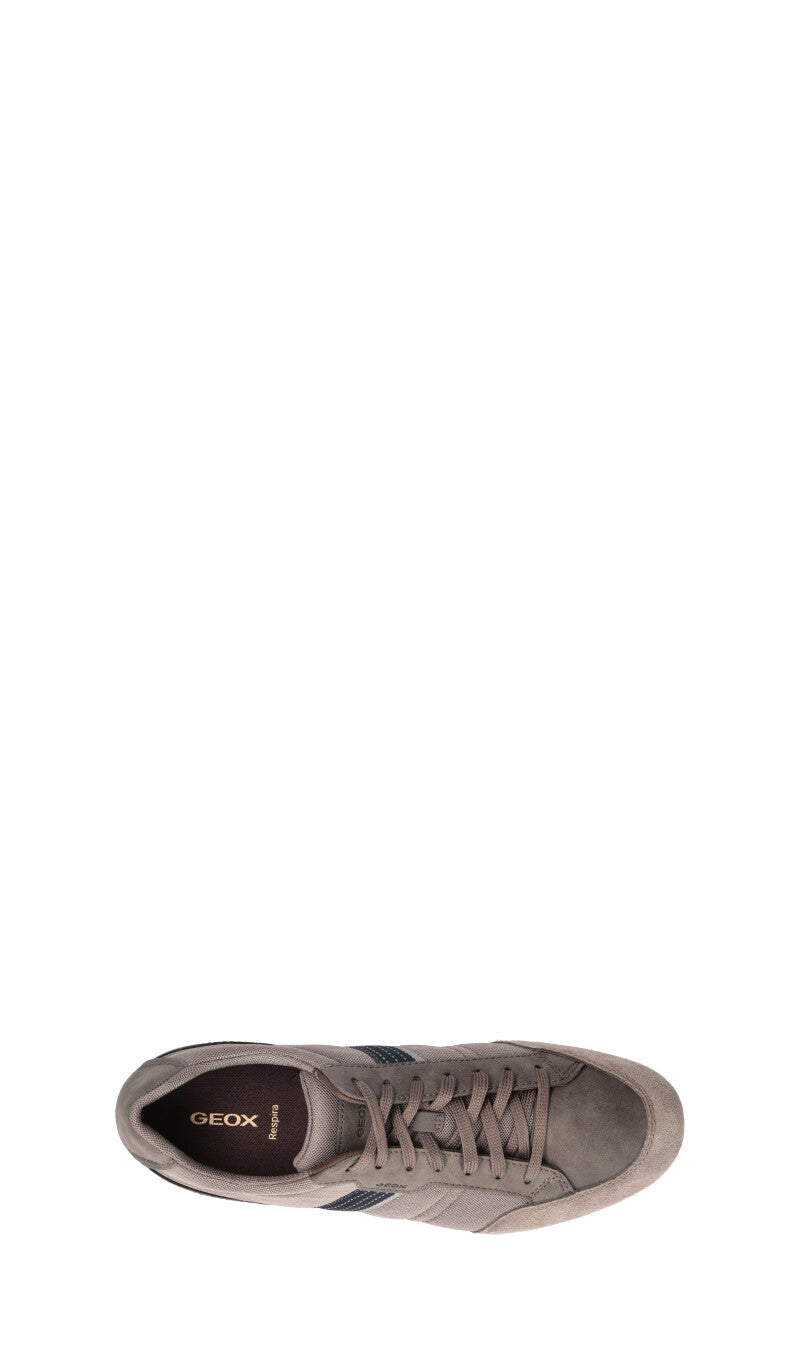 GEOX Sneaker uomo taupe
