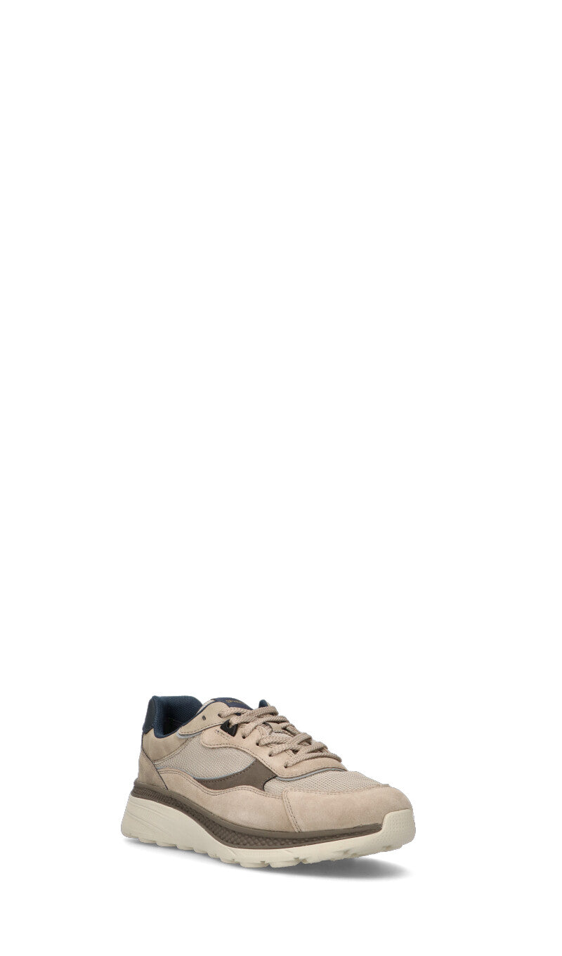 GEOX Sneaker uomo