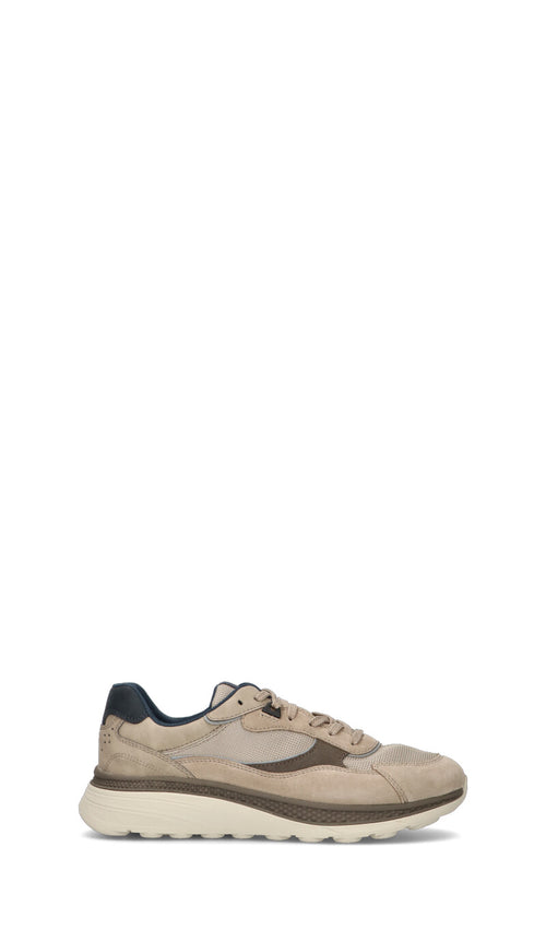 GEOX Sneaker uomo