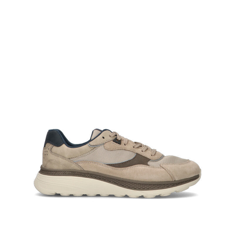 GEOX Sneaker uomo