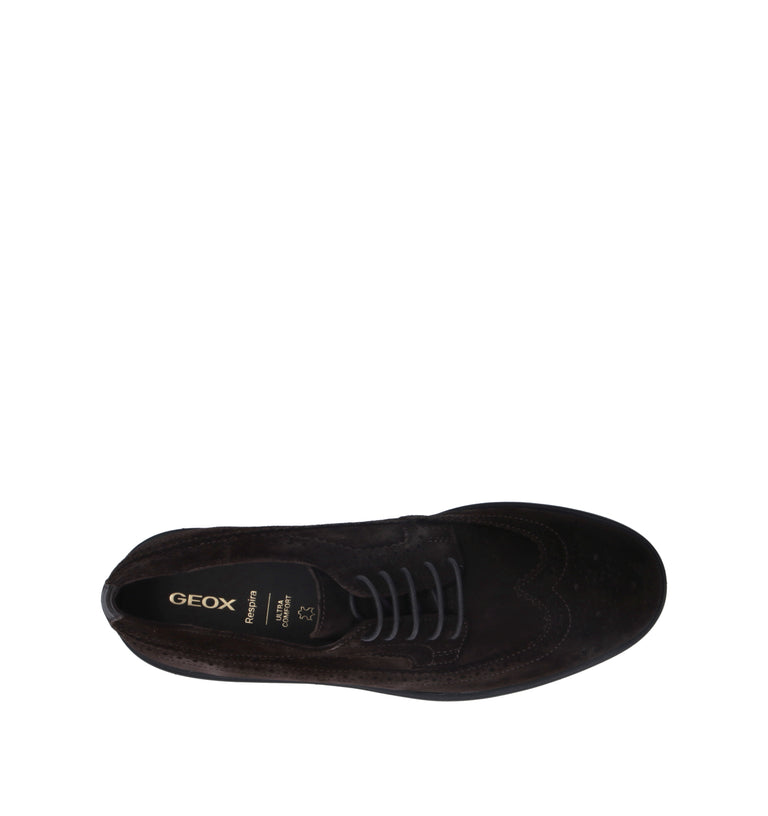 GEOX Stringata uomo marrone in suede