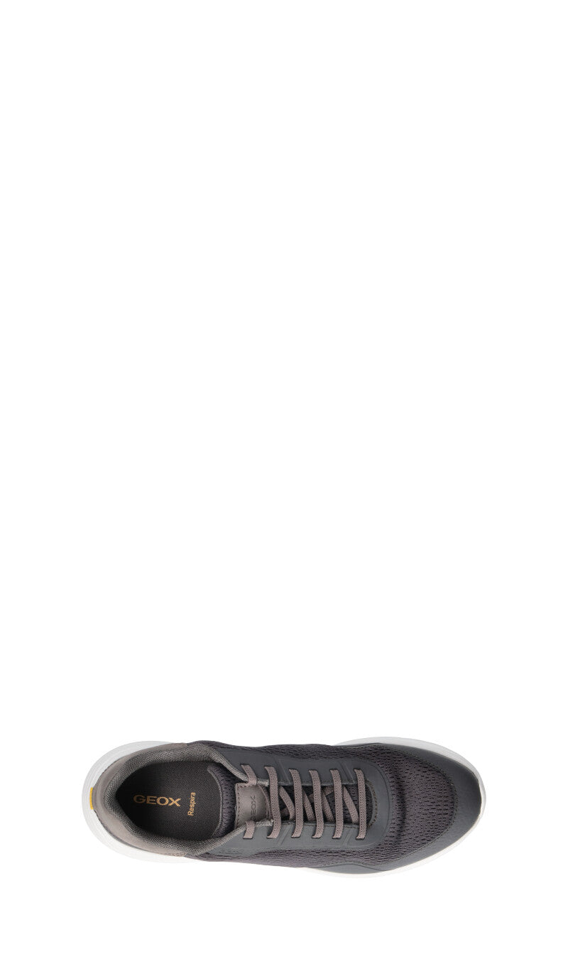 GEOX Sneaker uomo grigia