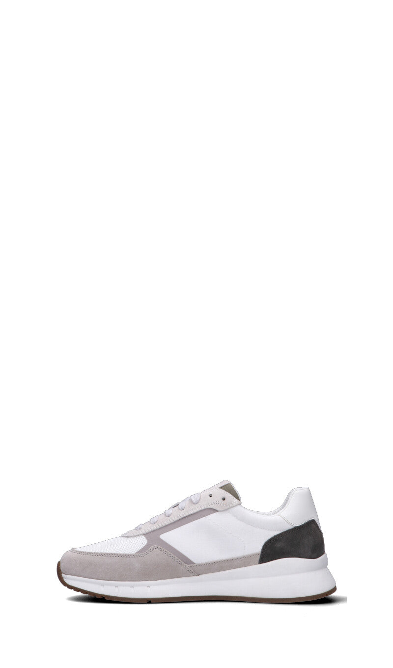 GEOX Sneaker uomo