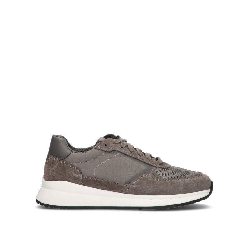 GEOX Sneaker uomo grigia