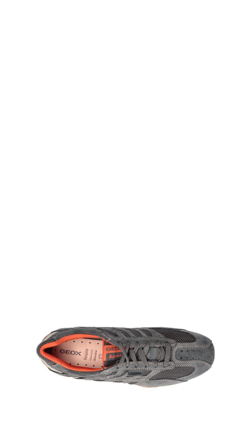 GEOX Sneaker uomo grigia