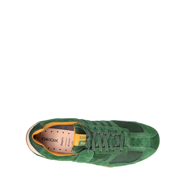 GEOX Sneaker uomo verde