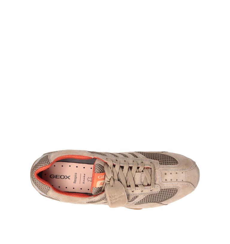GEOX Sneaker uomo beige