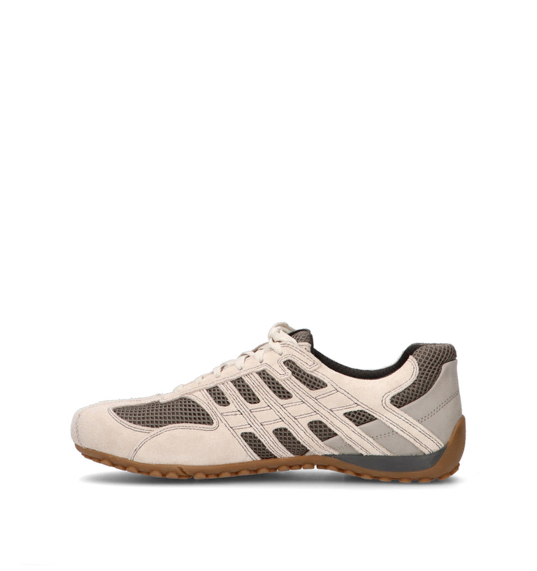 GEOX Sneaker uomo beige