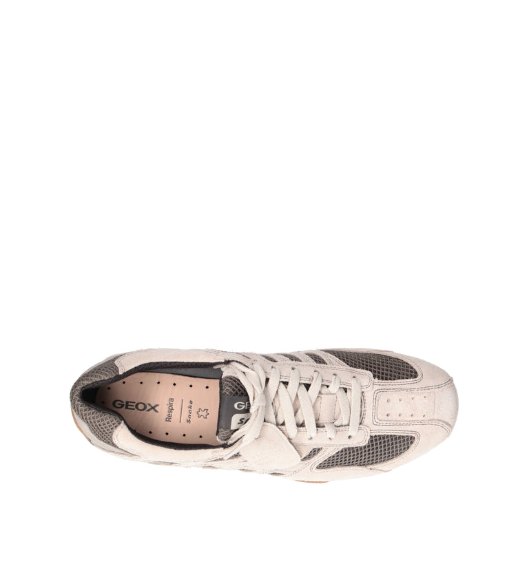 GEOX Sneaker uomo beige