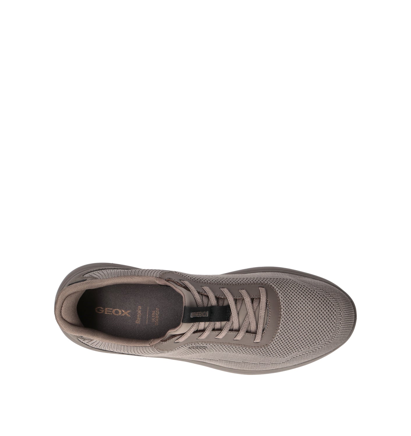 GEOX Sneaker uomo grigia
