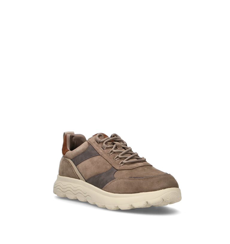 GEOX Sneaker uomo taupe