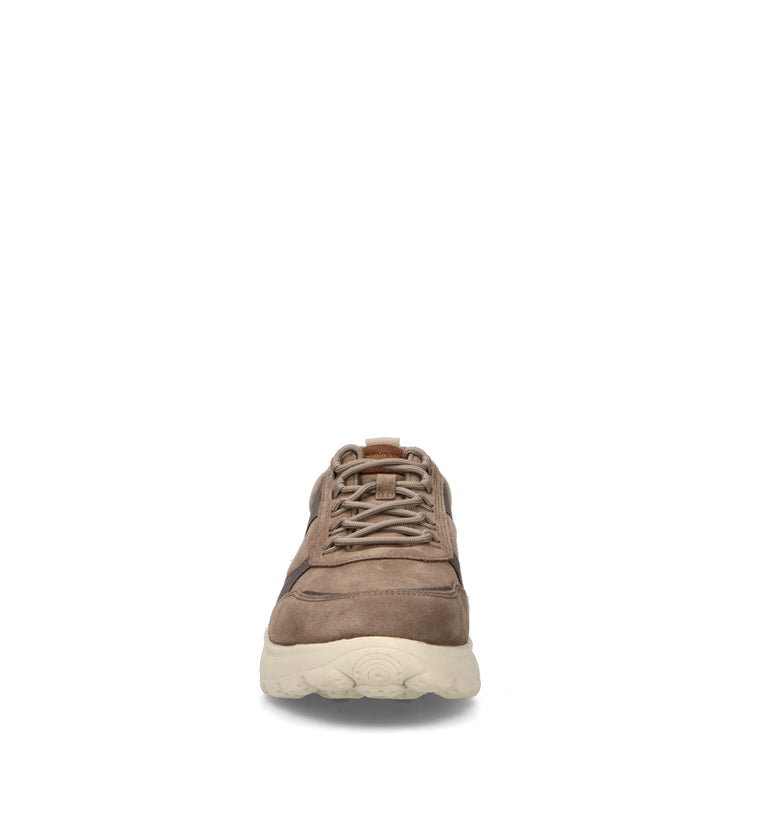 GEOX Sneaker uomo taupe