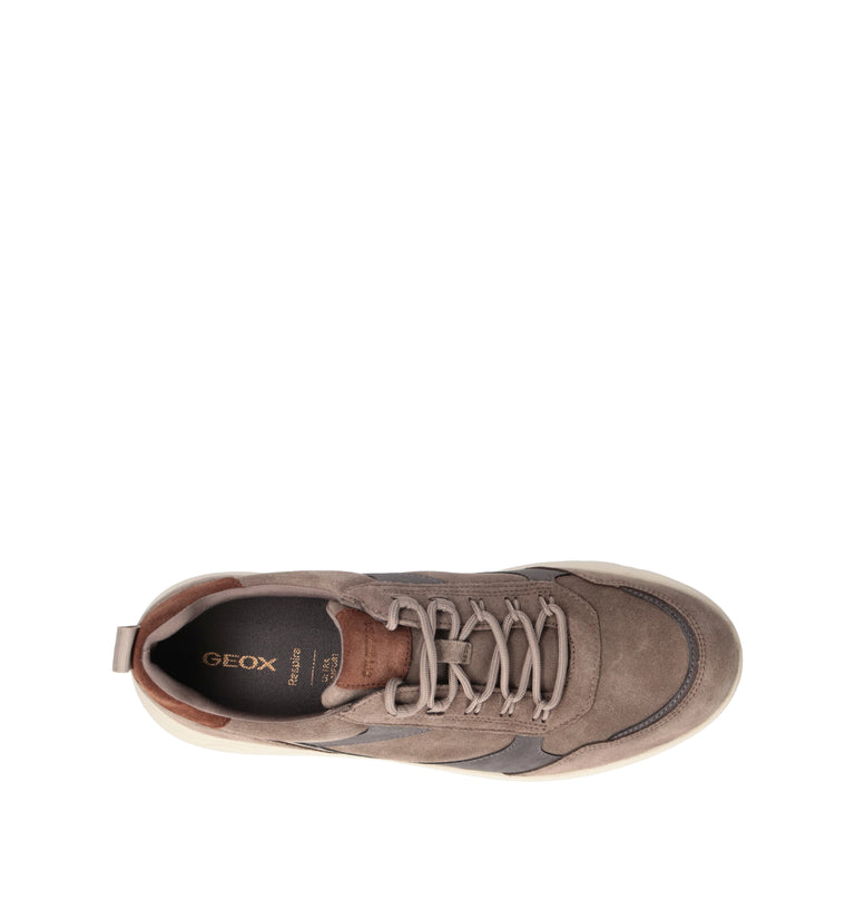 GEOX Sneaker uomo taupe