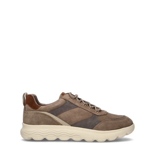 GEOX Sneaker uomo taupe