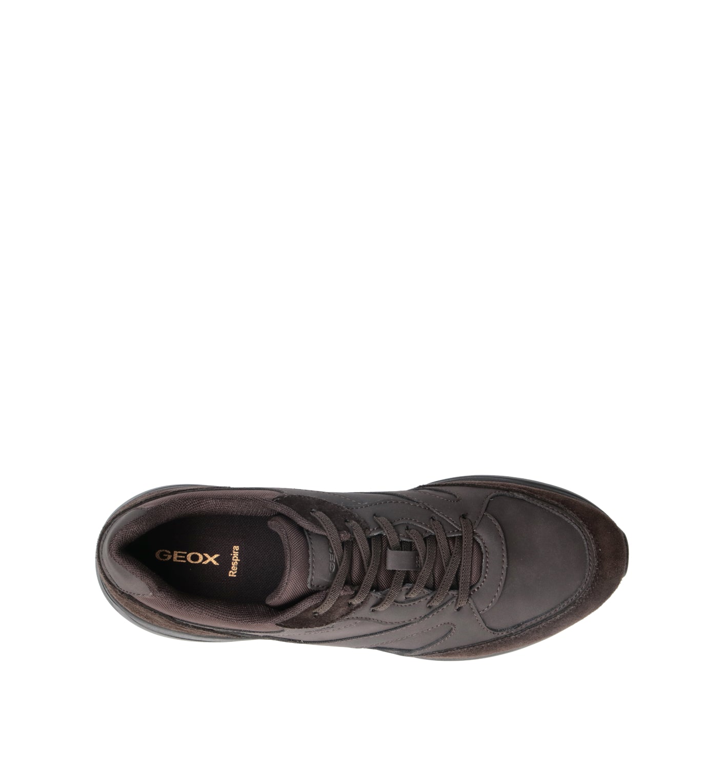 GEOX Sneaker uomo marrone