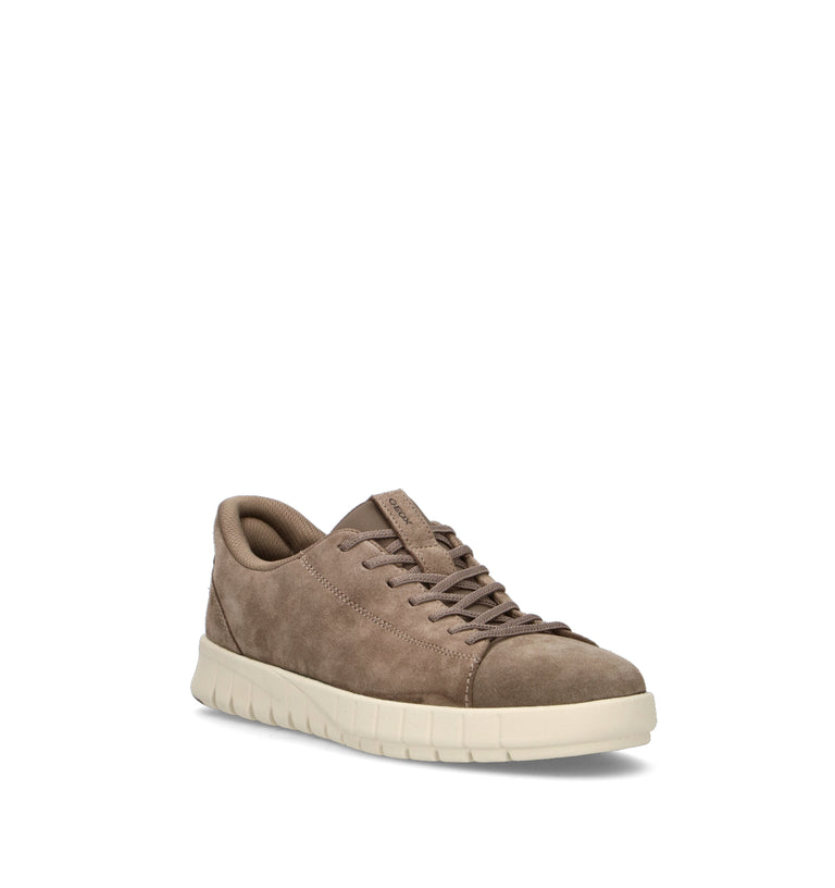GEOX FAST IN SYSTEM Sneaker uomo taupe
