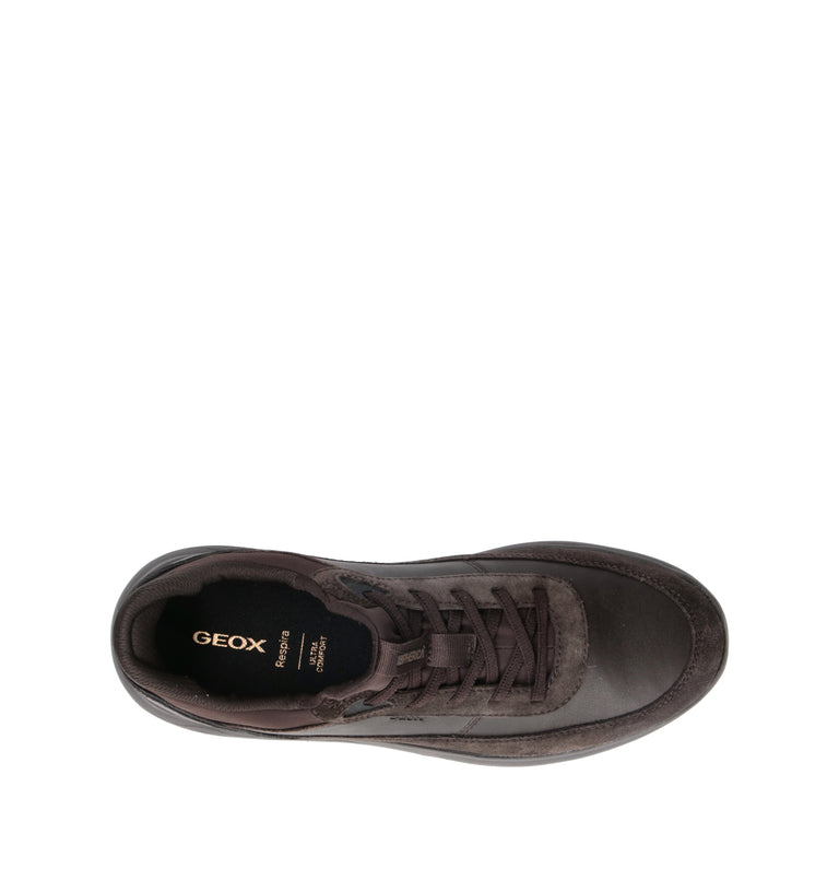 GEOX Sneaker uomo marrone