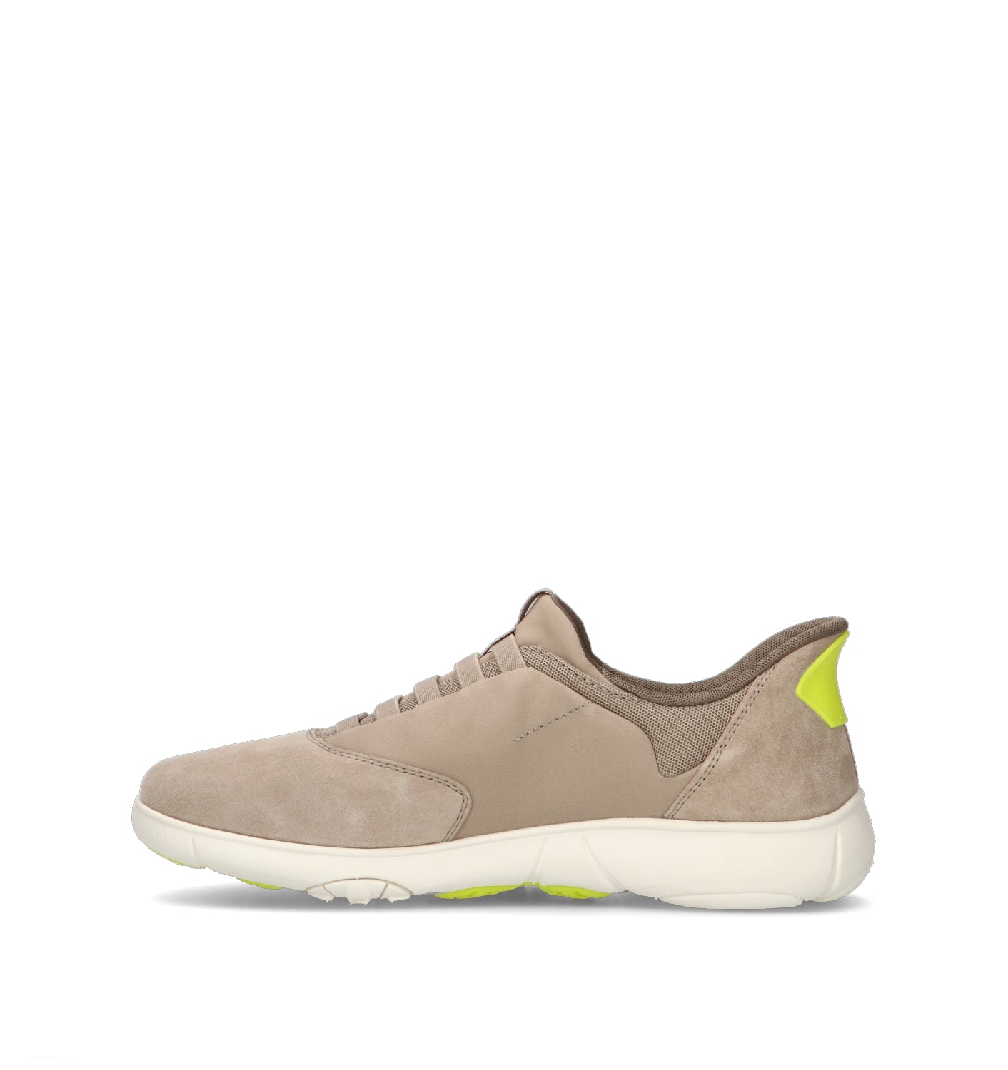 GEOX Sneaker uomo beige