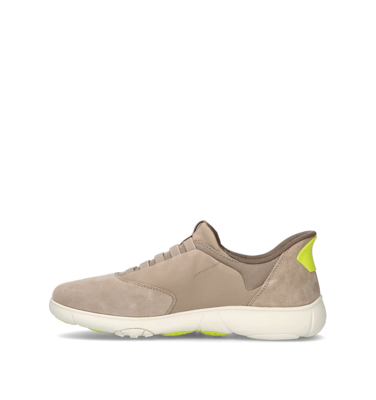 GEOX Sneaker uomo beige
