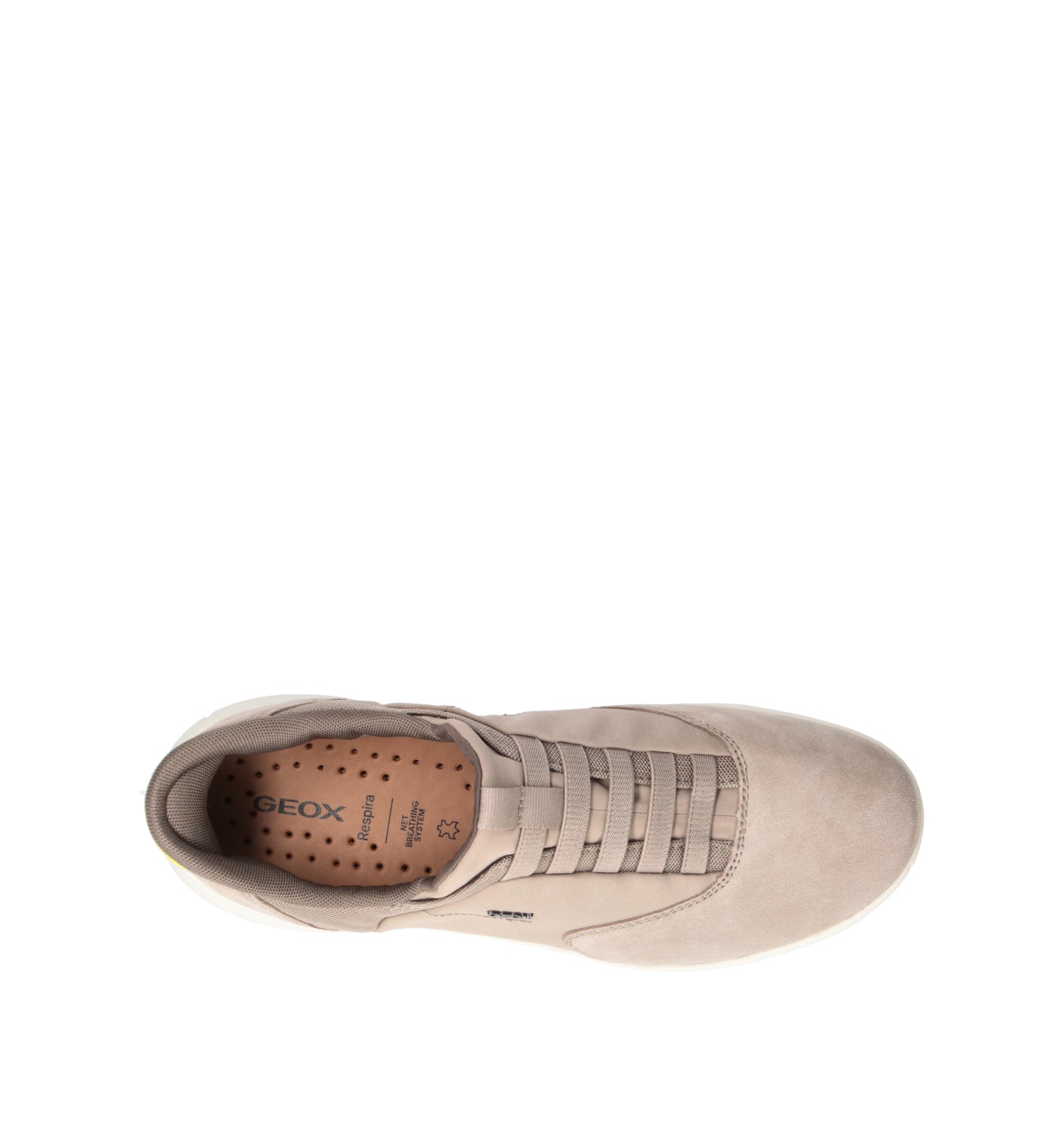 GEOX Sneaker uomo beige