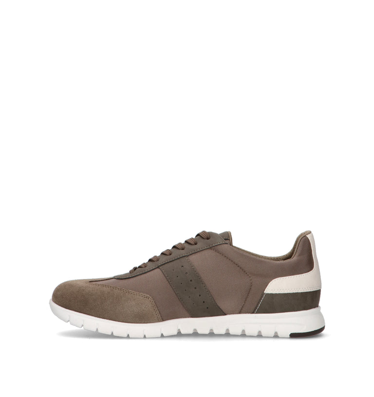 GEOX Sneaker uomo taupe