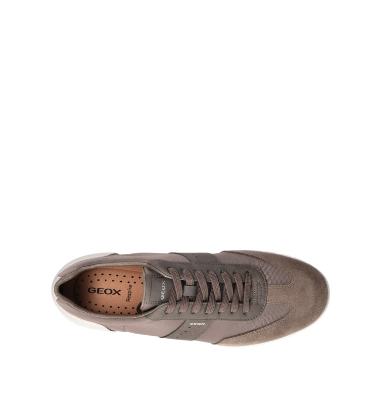 GEOX Sneaker uomo taupe