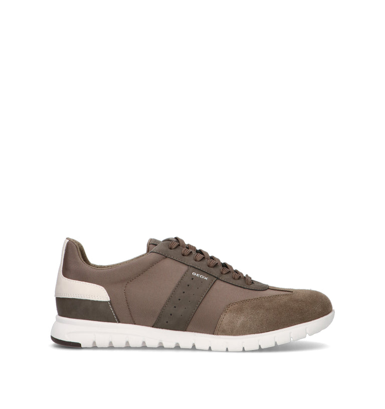 GEOX Sneaker uomo taupe