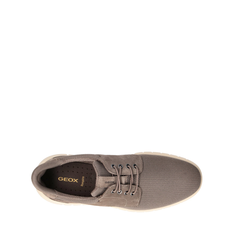 GEOX Sneaker uomo grigia