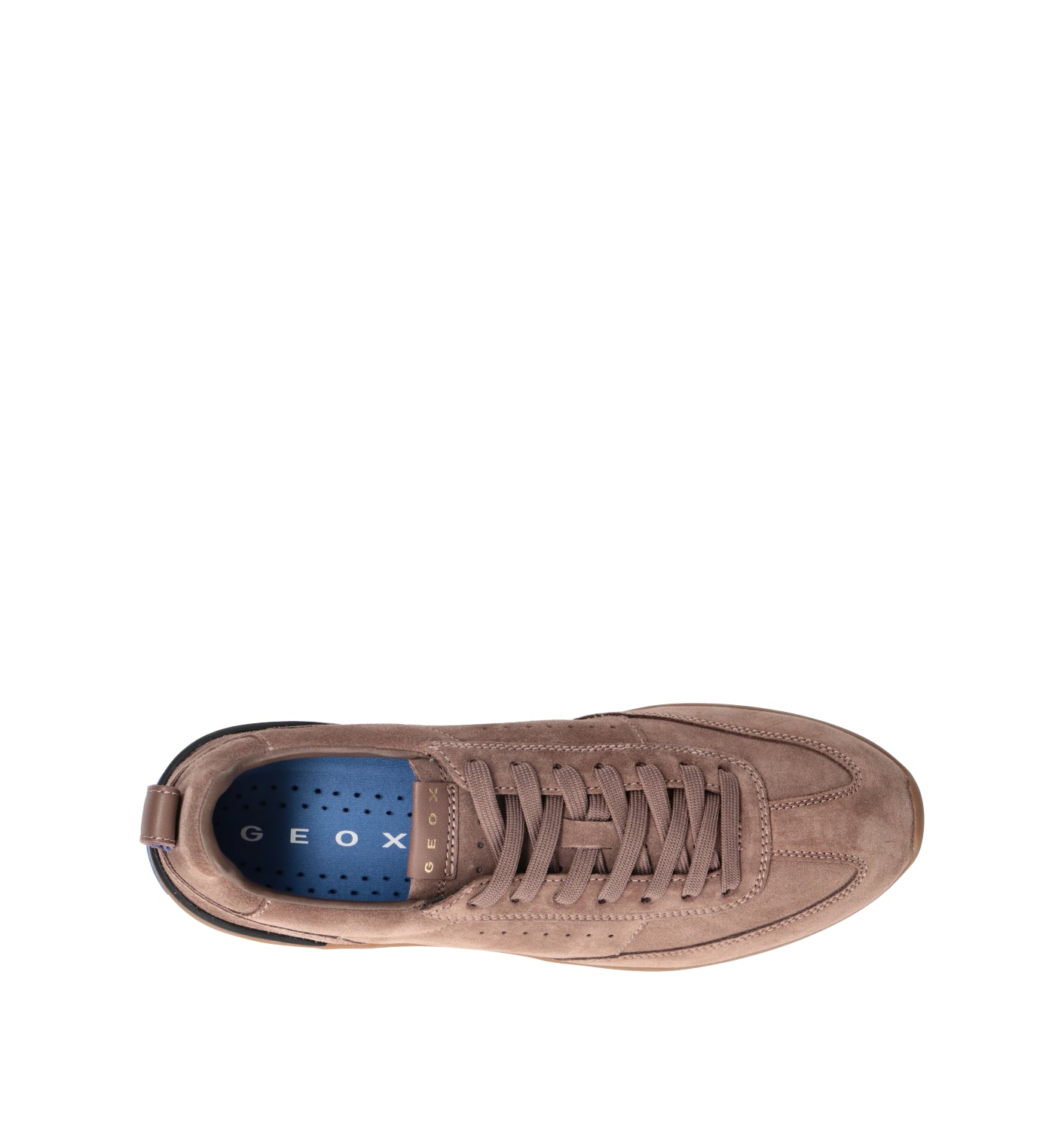 GEOX Sneaker uomo taupe in suede
