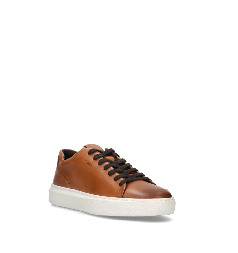 GEOX Sneaker uomo marrone in pelle