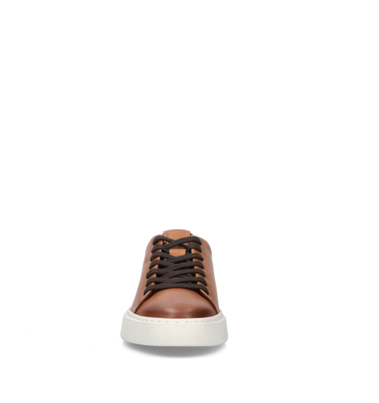 GEOX Sneaker uomo marrone in pelle