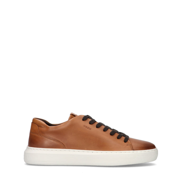 GEOX Sneaker uomo marrone in pelle