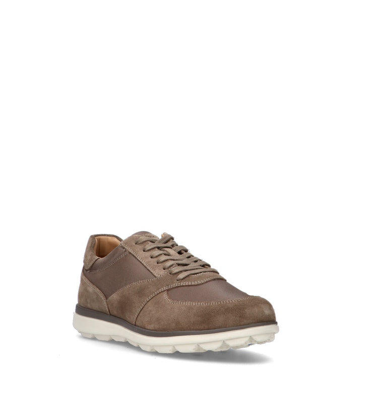 GEOX Sneaker uomo taupe