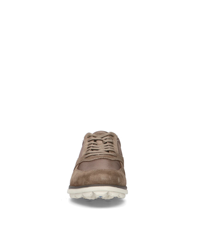 GEOX Sneaker uomo taupe