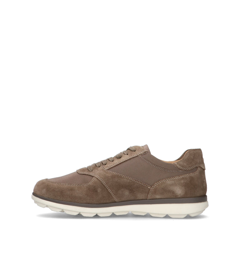 GEOX Sneaker uomo taupe
