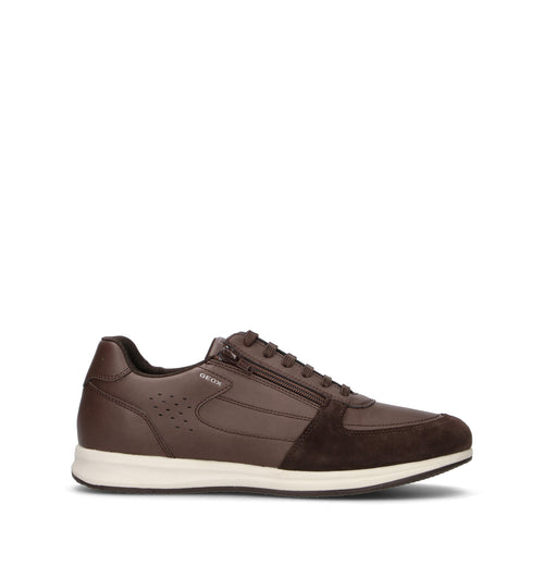 GEOX Sneaker uomo marrone