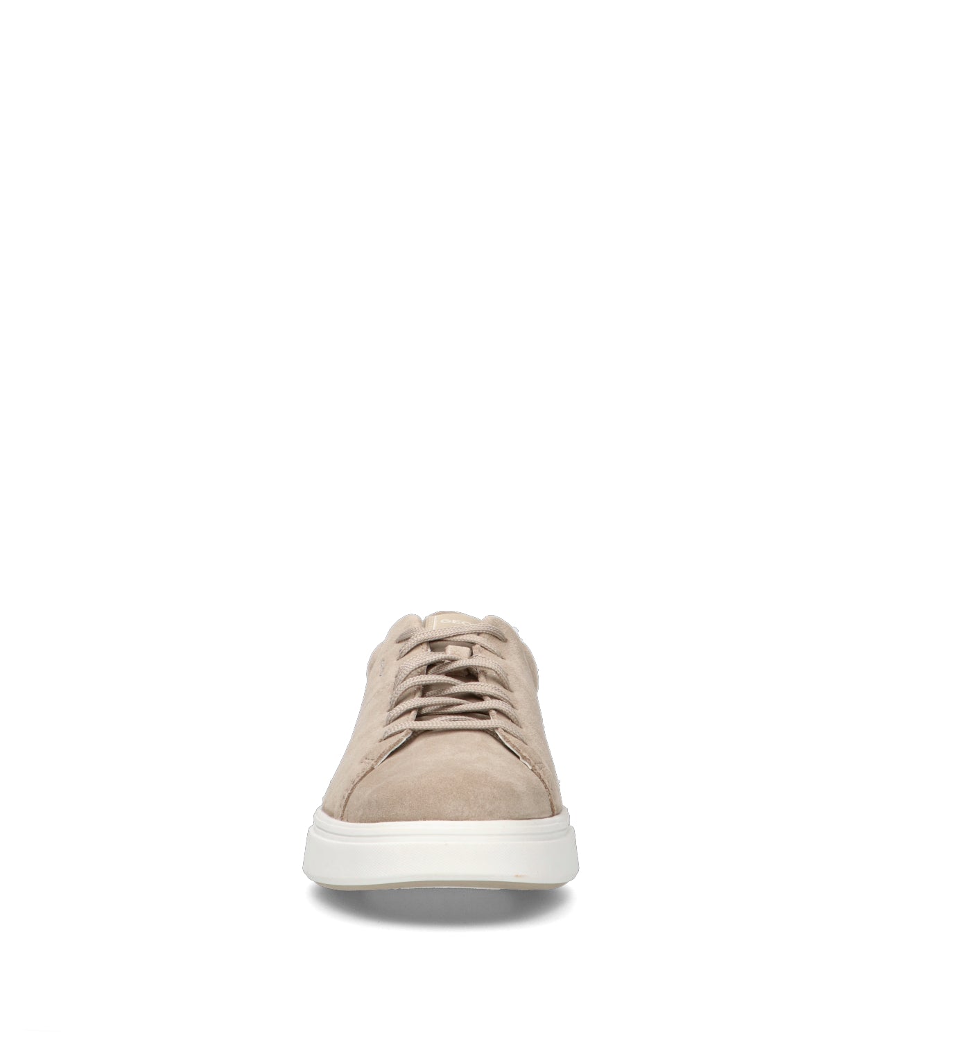 GEOX Sneaker uomo beige in suede