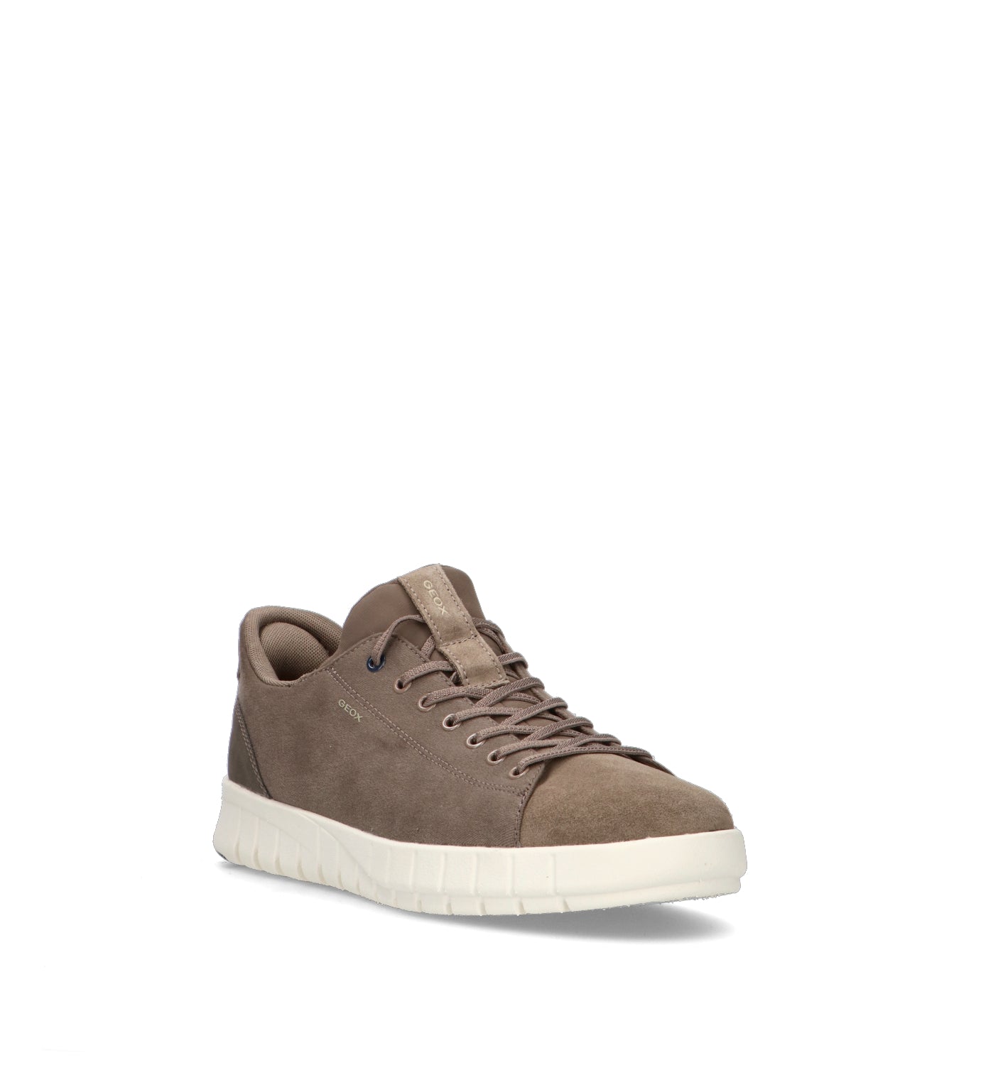 GEOX Sneaker uomo taupe