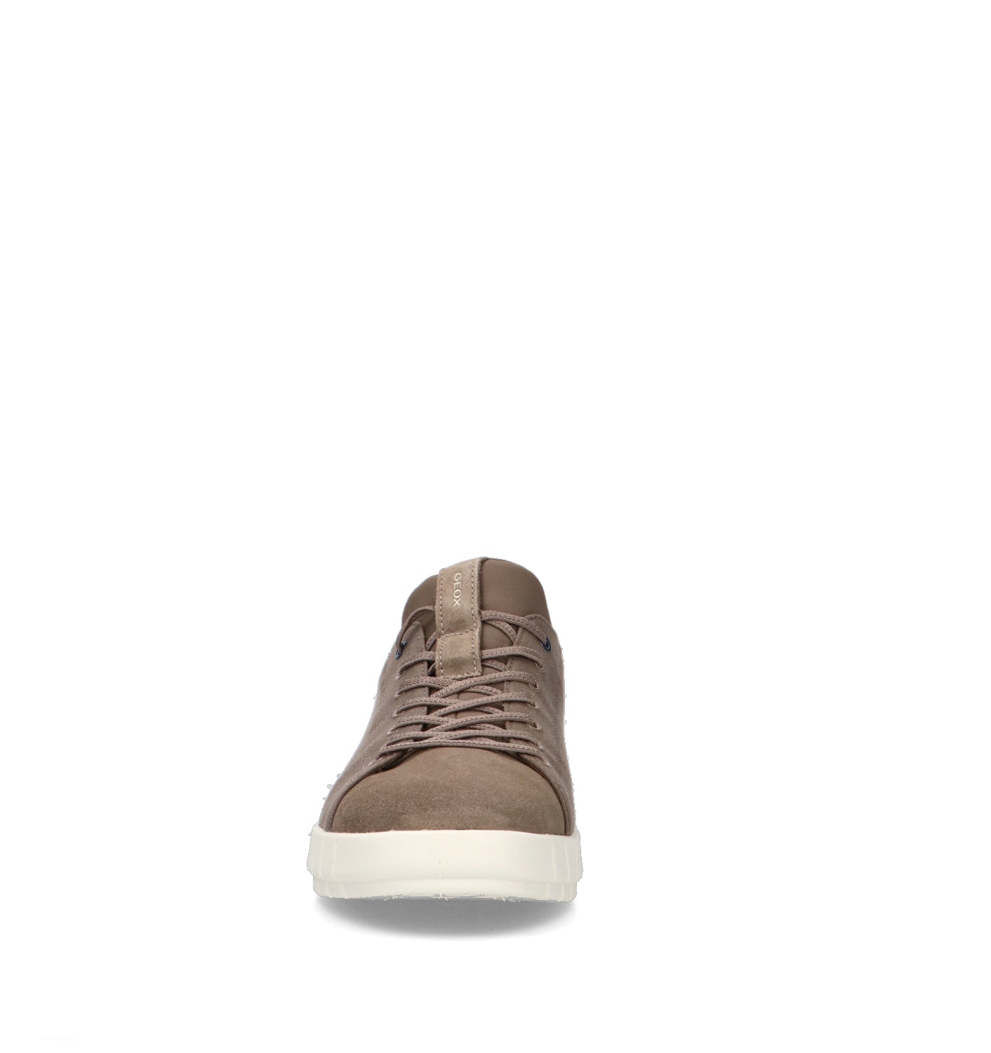 GEOX Sneaker uomo taupe