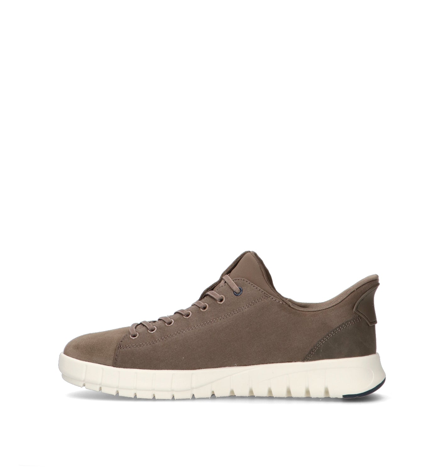GEOX Sneaker uomo taupe
