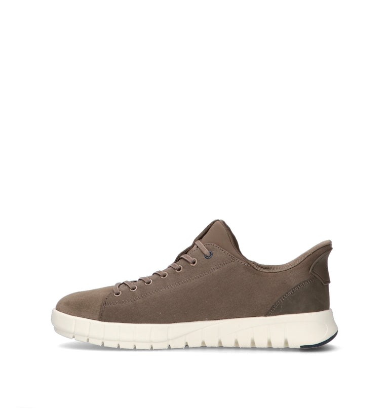 GEOX Sneaker uomo taupe