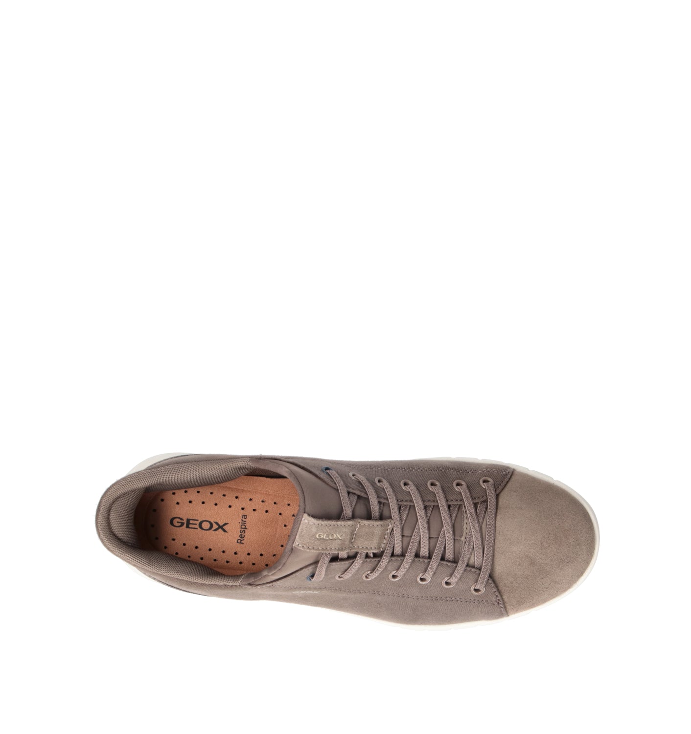 GEOX Sneaker uomo taupe